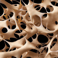 bone density
